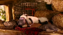 بره ناقلا (سیمان)